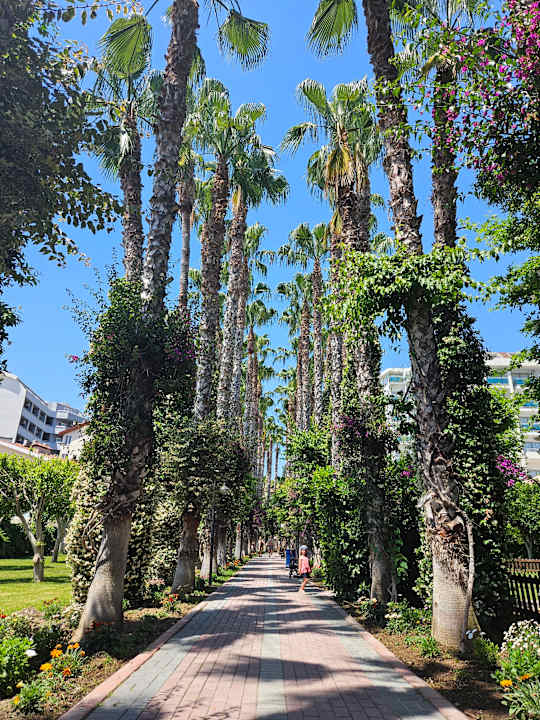 Strand Hotel Gardenia Beach