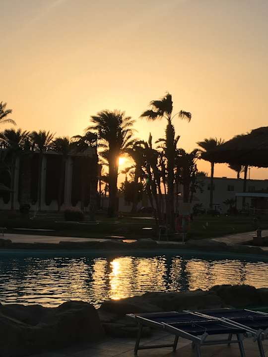 Pool Beach Albatros Resort