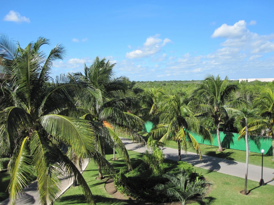 Zur Straße Bahia Principe Grand Tulum