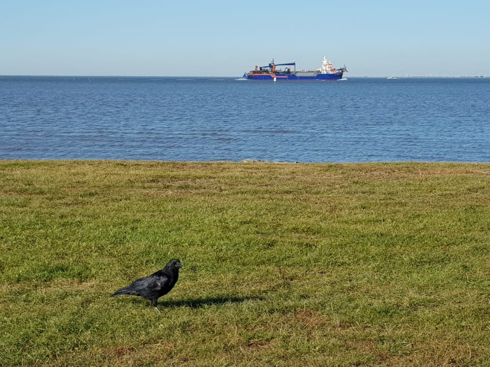 Ausblick Ferienwohnung Kristina