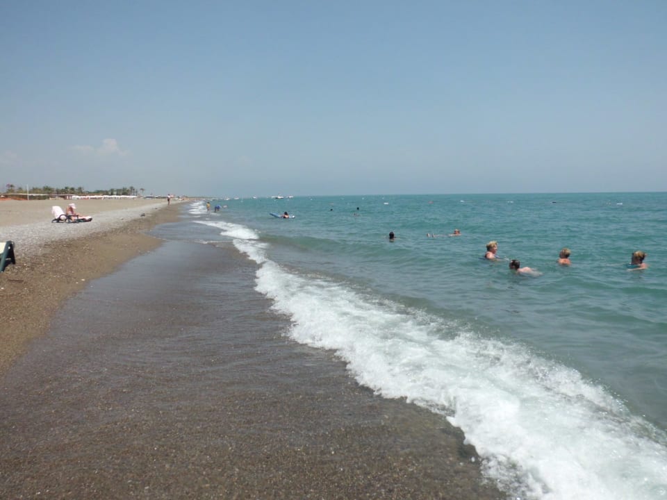 30 Sherwood Dreams Resort