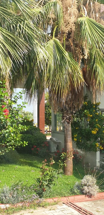 Gartenanlage Cenger Beach Resort & Spa