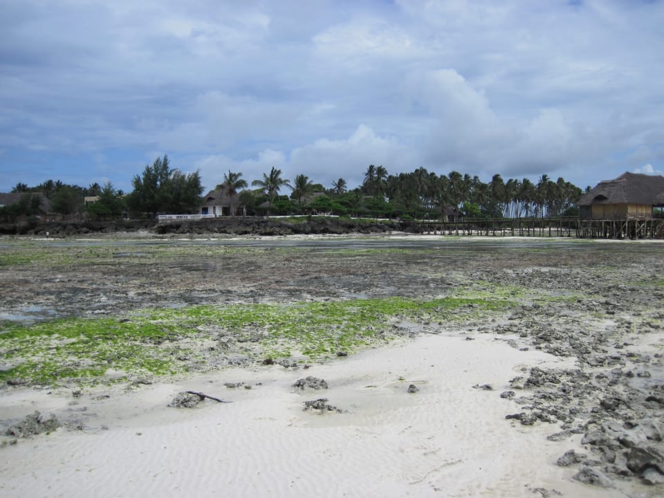 Noch viel mehr Ebbe Reef & Beach Resort