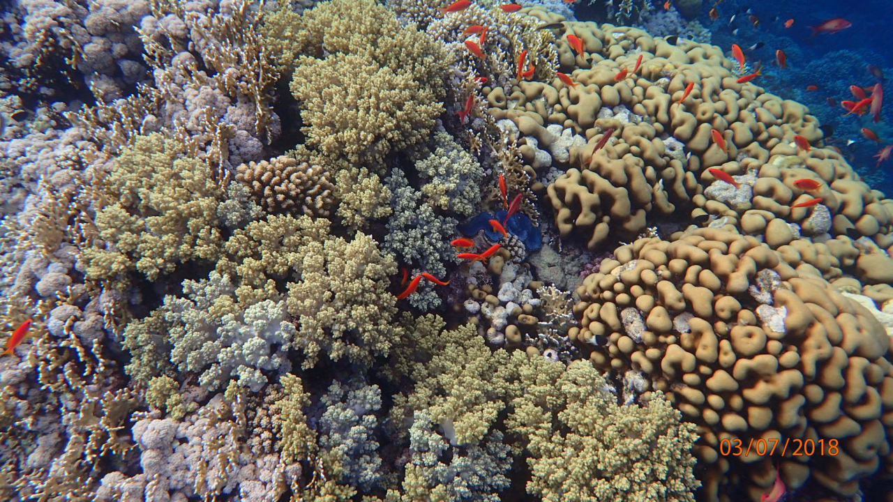 Strand Casa Mare Resort