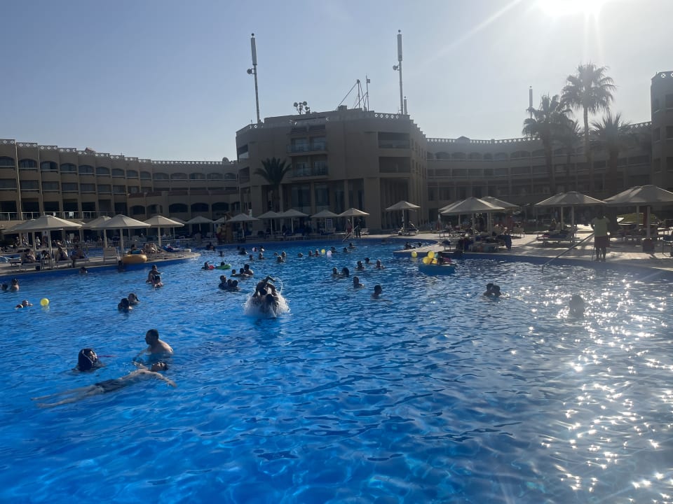 Pool Beach Albatros Resort