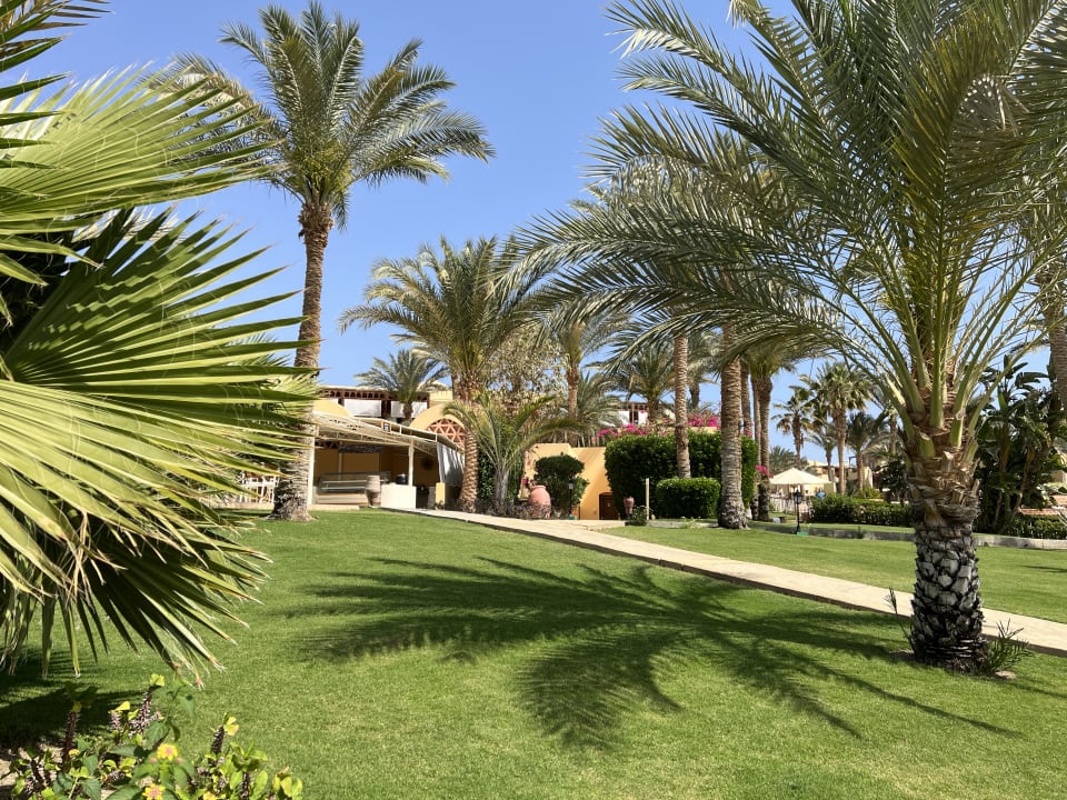 Gartenanlage Steigenberger Coraya Beach - Adults only