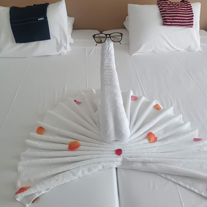 Zimmer JAZ Elite Asteria