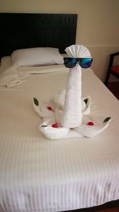 Zimmer Three Corners Sea Beach Resort