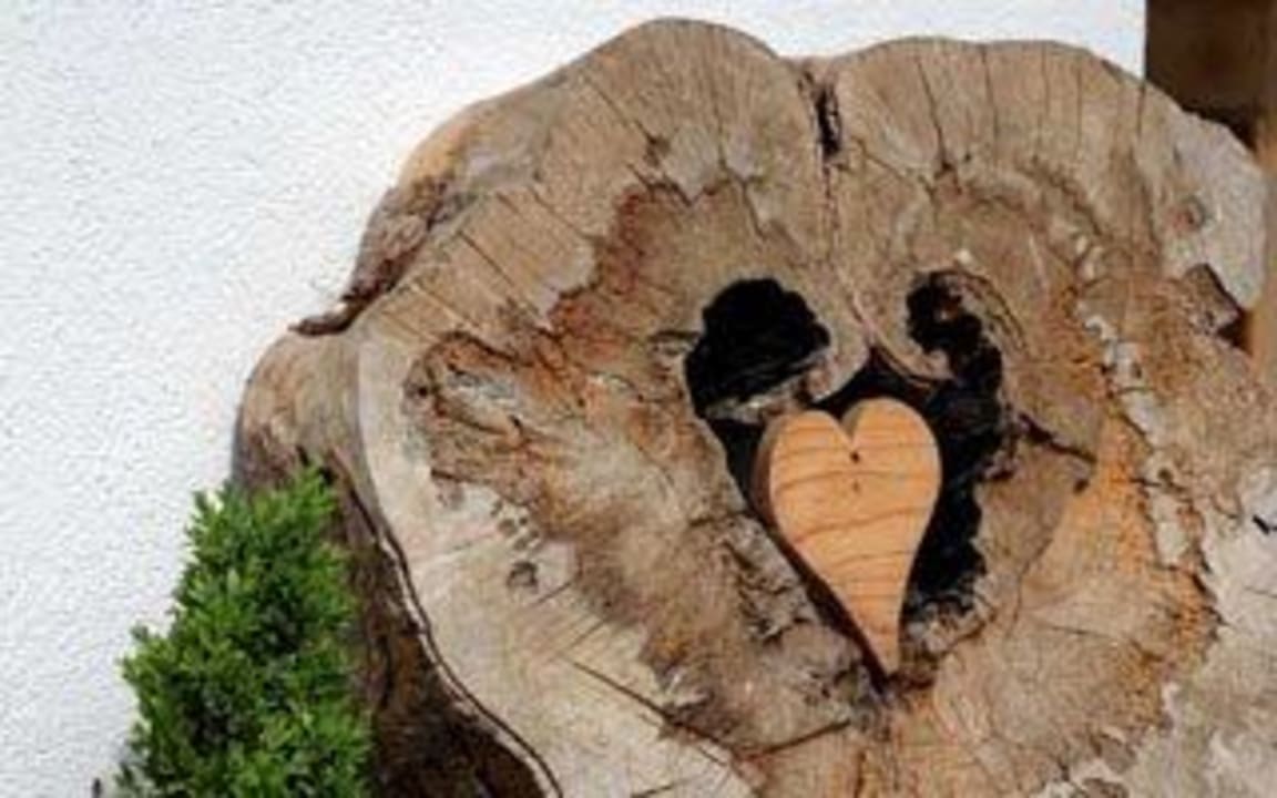 Wood heart, felled in 2012 Bauernhof Oberachenhof