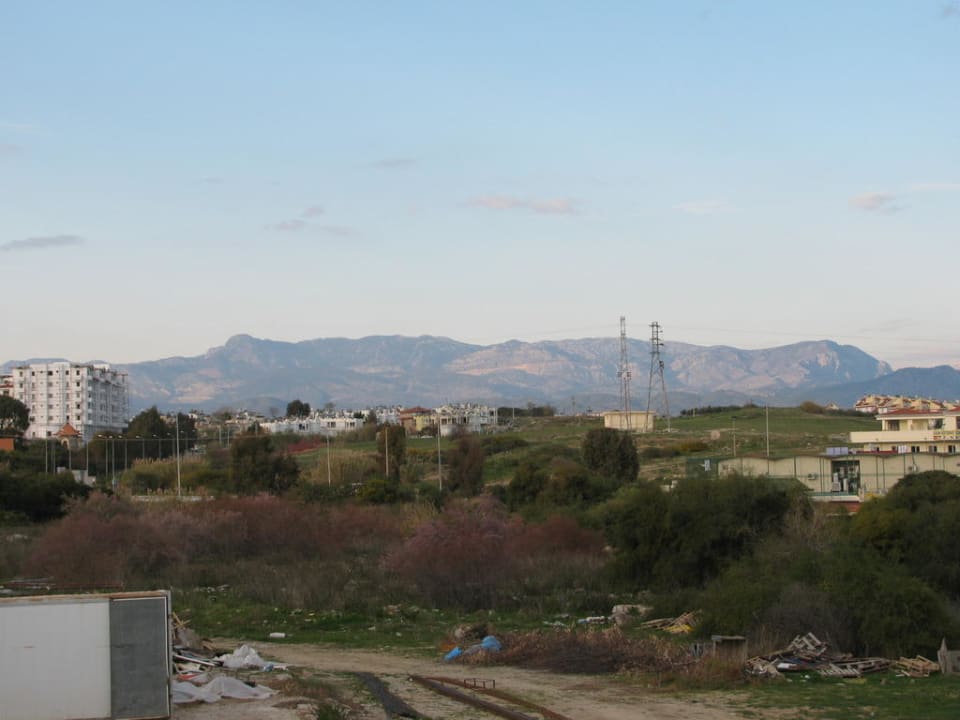 Brachland Arum Barut Collection