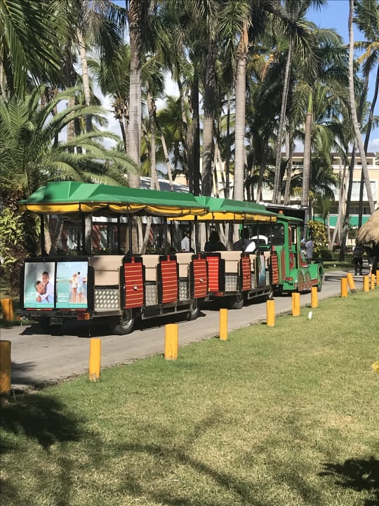 Gartenanlage Hotel Grand Palladium Palace Resort, Spa & Casino