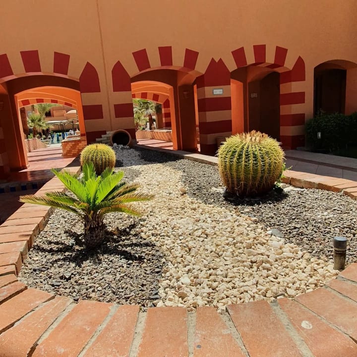 Gartenanlage Jaz Makadi Oasis Resort