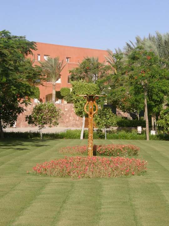 Roślinki Sharm Grand Plaza Resort