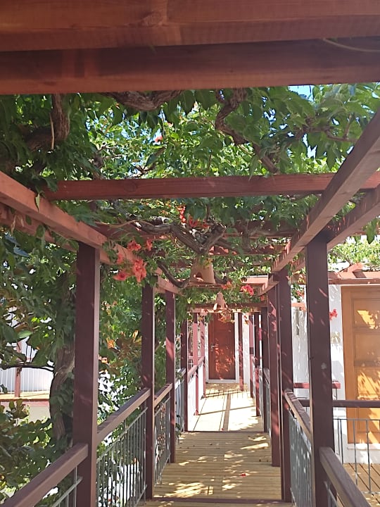 Außenansicht Kalypso Hotel