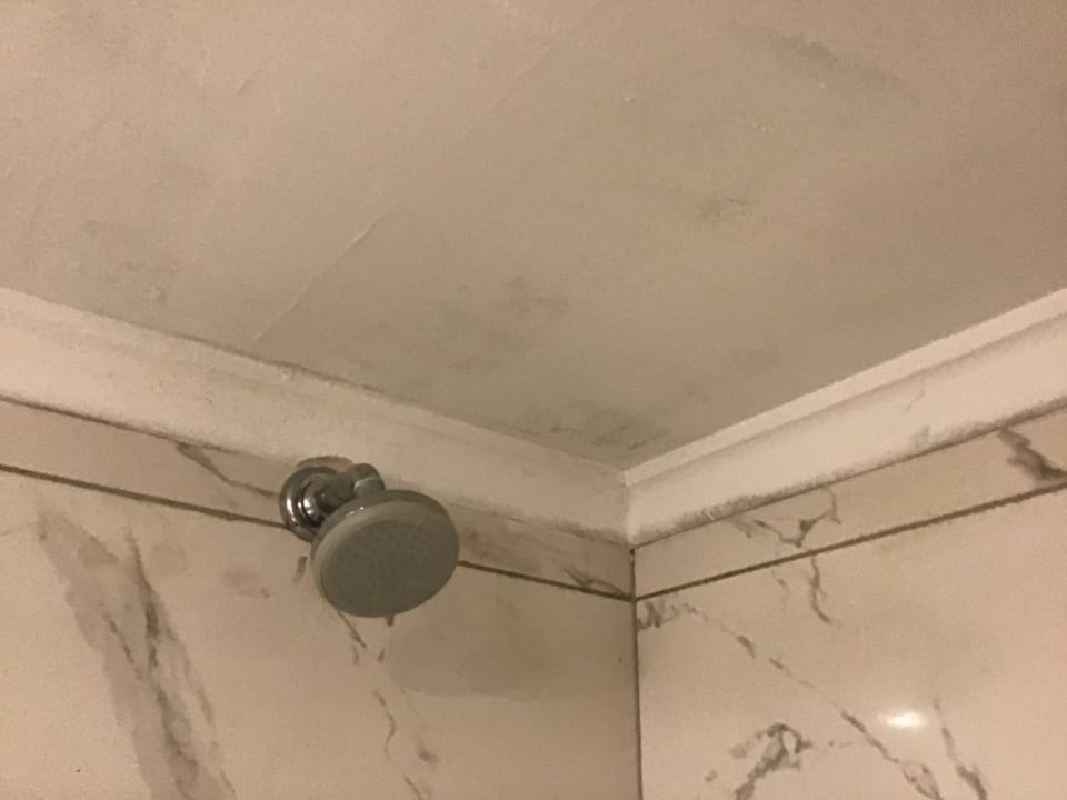 Zimmer Calimera Hane Garden