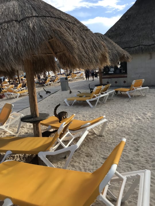 Strand Iberostar Selection Paraiso Maya Suites