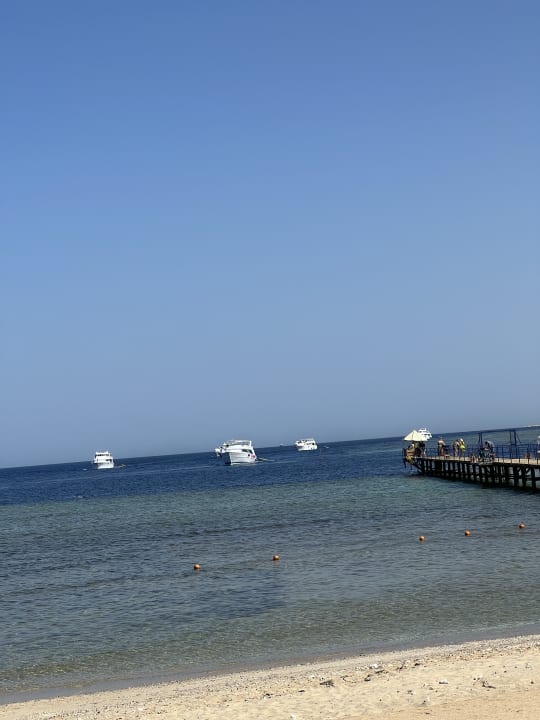 Strand Pickalbatros Palace Hotel-Port Ghalib