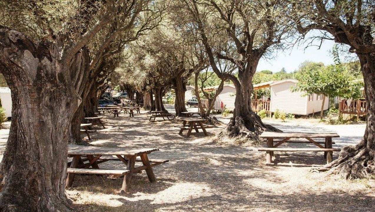 La Baie des Anges, Homair Vacances, Coin pic-nic Camping & Bungalows La Baie des Anges