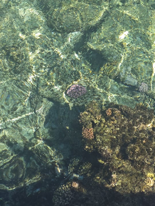 Sonstiges Casa Mare Resort