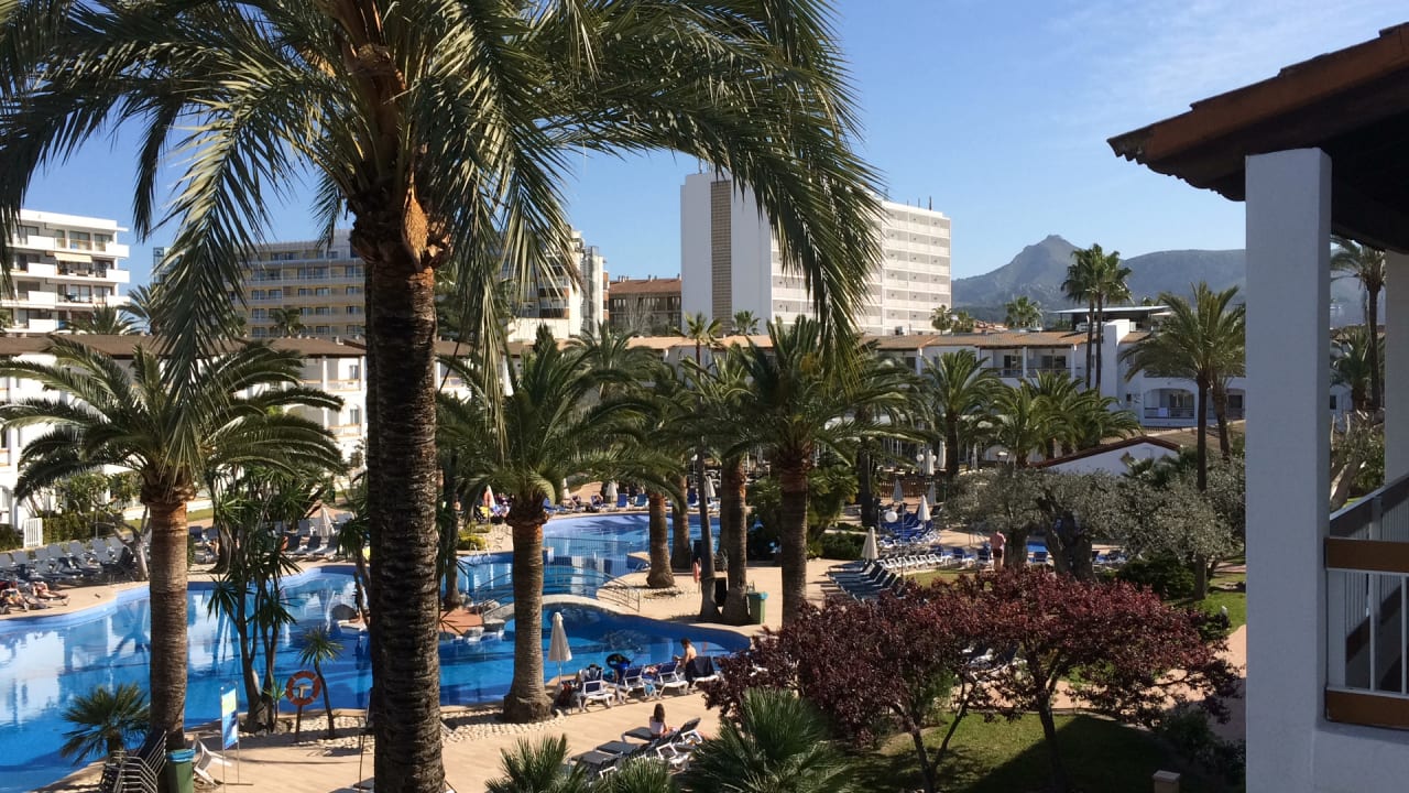 Pool Alcudia Garden Aparthotel