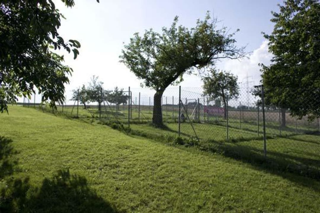 Außenausläufe für unsere Hundehausgäste World of Animals 4 Pfoten Resort