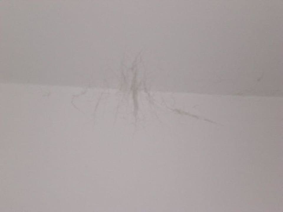 Spinnweben Hanioti Grandotel Hotel