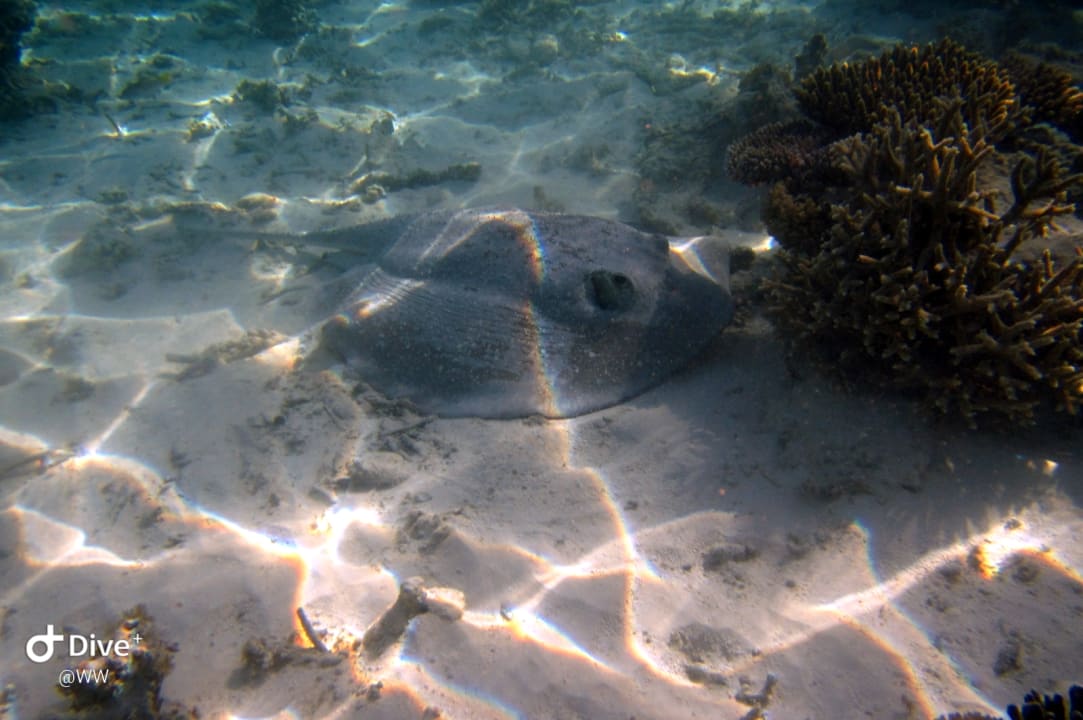 Sport & Freizeit NH Collection Maldives Havodda Resort