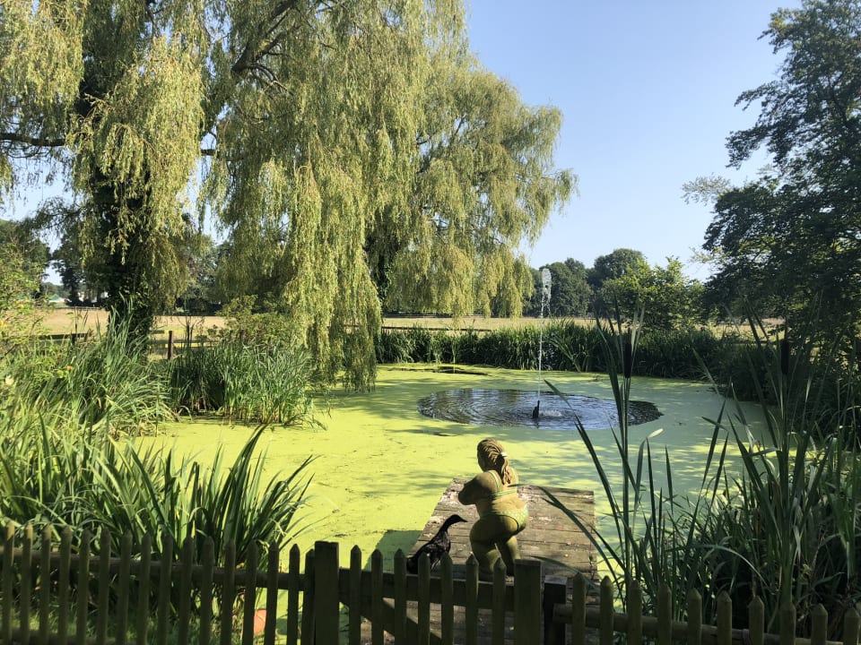 Gartenanlage Ferienwohnungen/ Ferienhäuser Bauernhof Onken
