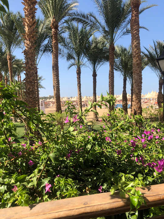 Gartenanlage The Grand Hotel Hurghada