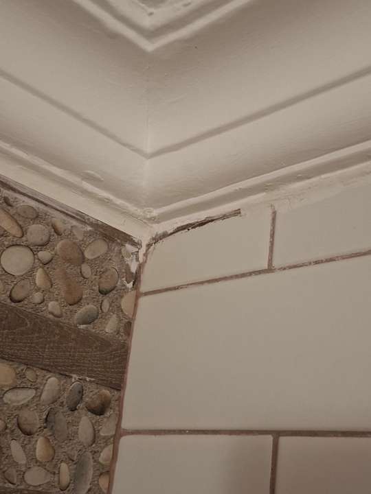 Zimmer Club Turtas Beach Hotel