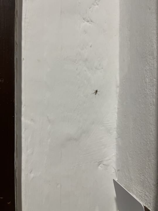 Zimmer Hotel Riu Funana