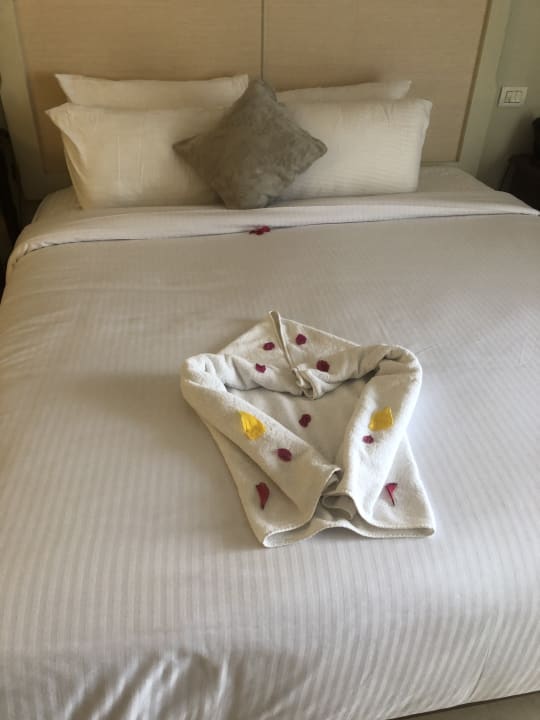 Zimmer Pickalbatros Palace Hotel-Port Ghalib