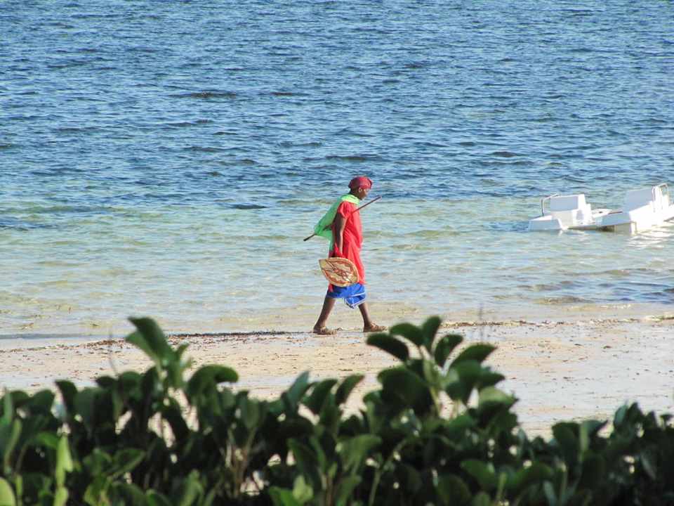 Samburo am Meer Hotel Mombasa Continental Resort