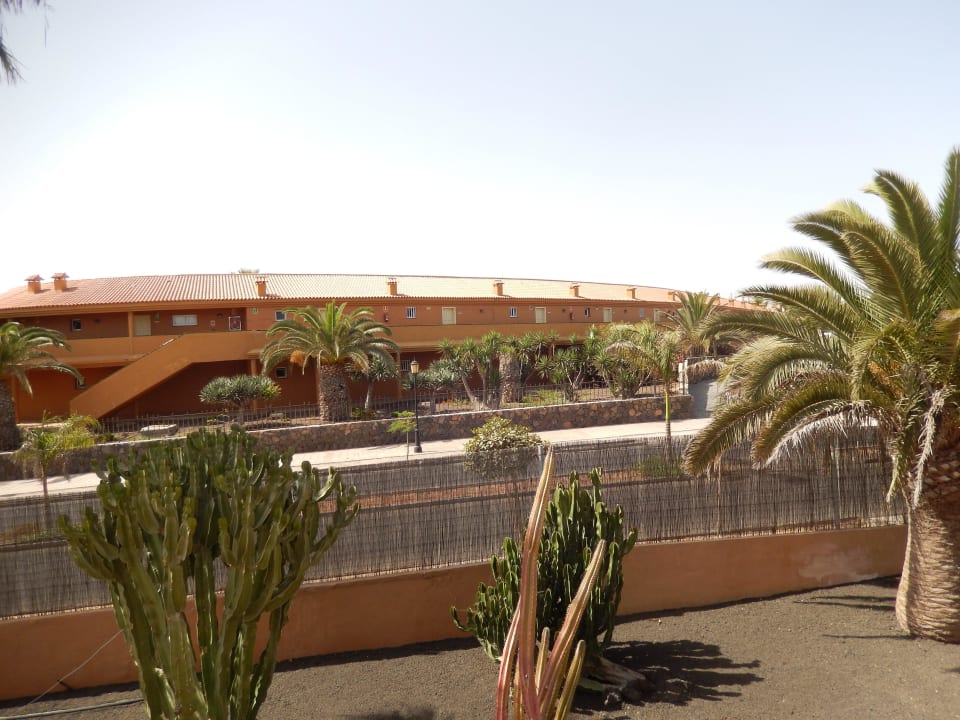 Vue depuis le balcon  Hotel Oasis Dunas