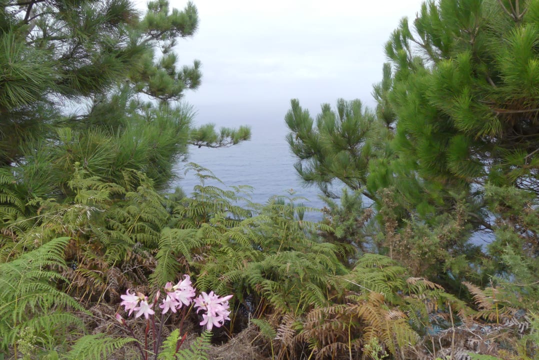 Sonstiges Hotel Quinta do Furao