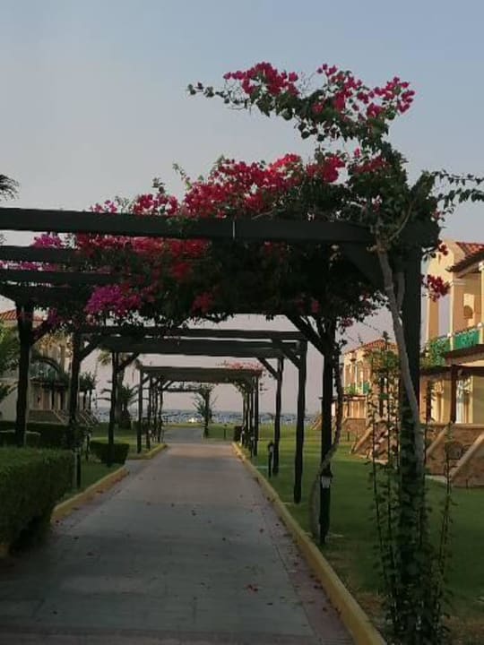 Gartenanlage Lindos Princess Beach Resort & Spa