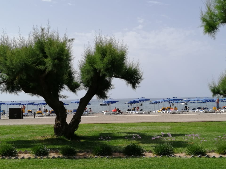 Strand Lindos Princess Beach Resort & Spa