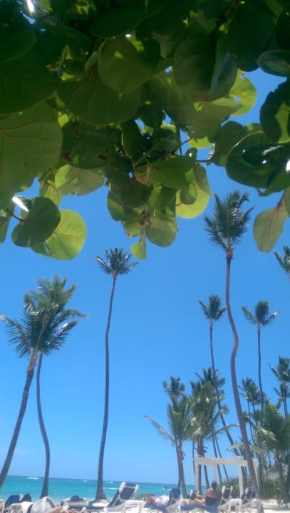 Strand Grand Palladium Select Bávaro Resort & Spa