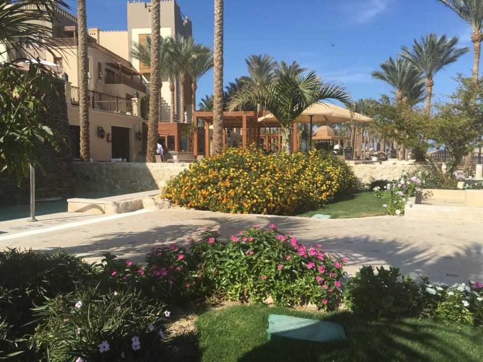 Blick vom Pool Makadi Spa - Adults only