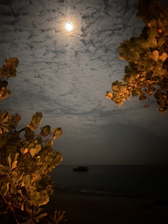 Ausblick NH Collection Maldives Reethi Resort