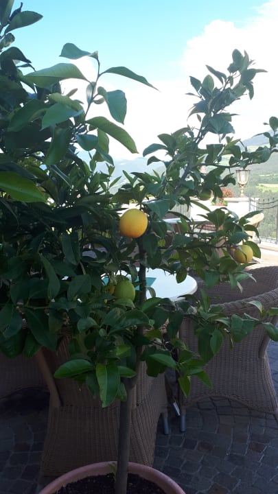 Gartenanlage Berglandhotel Untertheimerhof