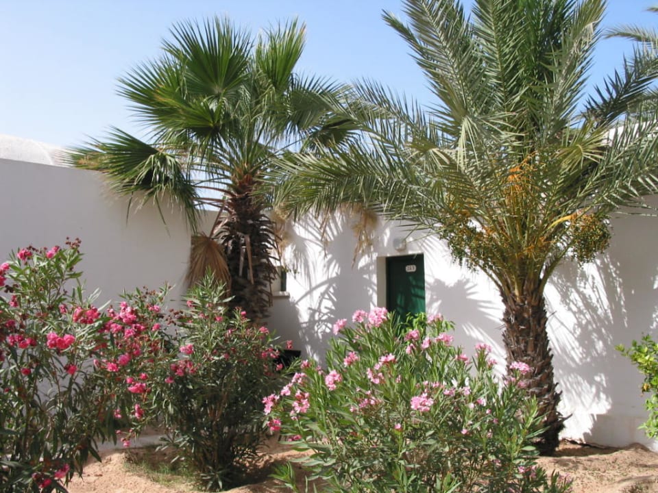 Hotelanlage Hotel Sangho Club Zarzis