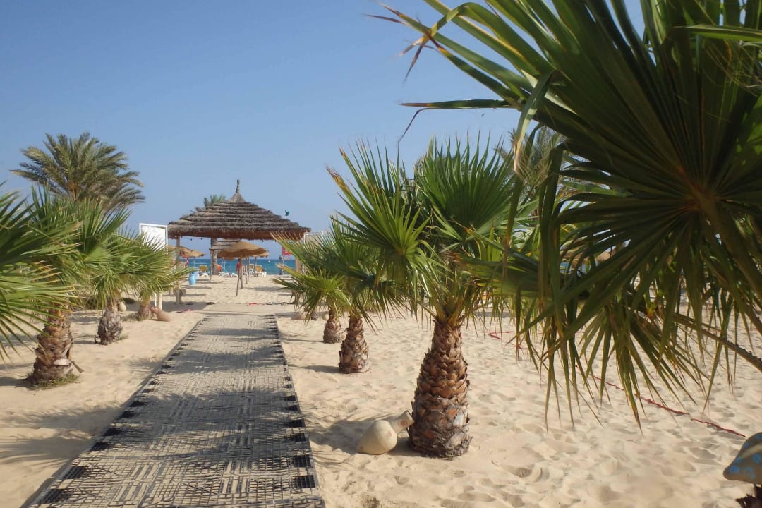 Bild Hotel Paradis Palace