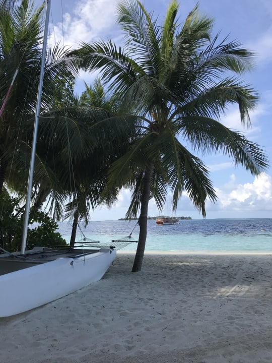 Katamaran  Vilamendhoo Island Resort & Spa