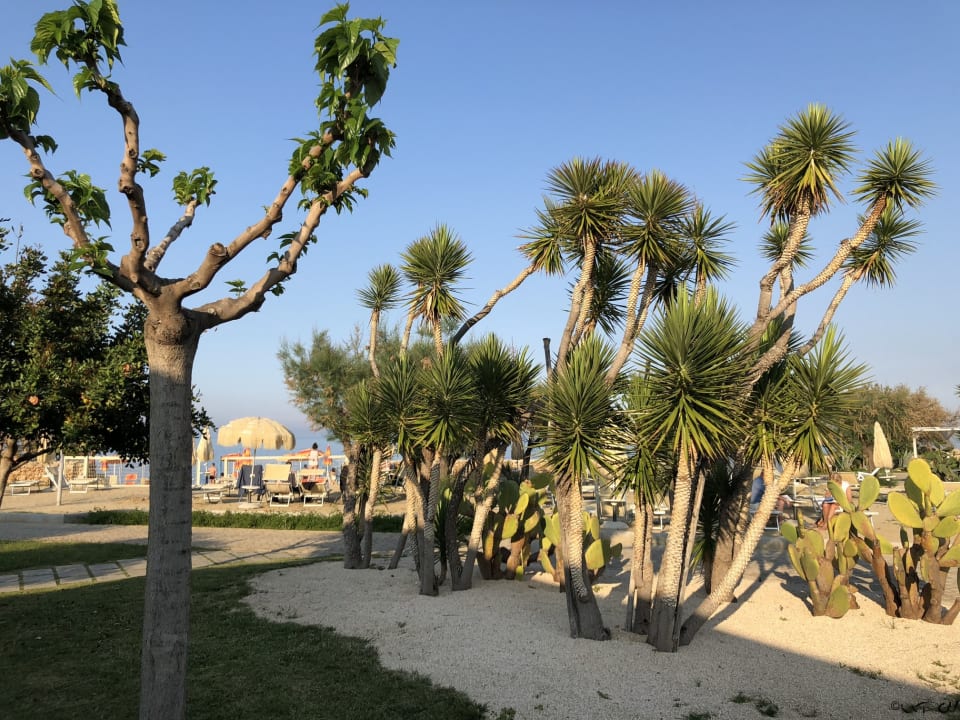 Gartenanlage Pietrablu Resort & Spa - CDSHotels