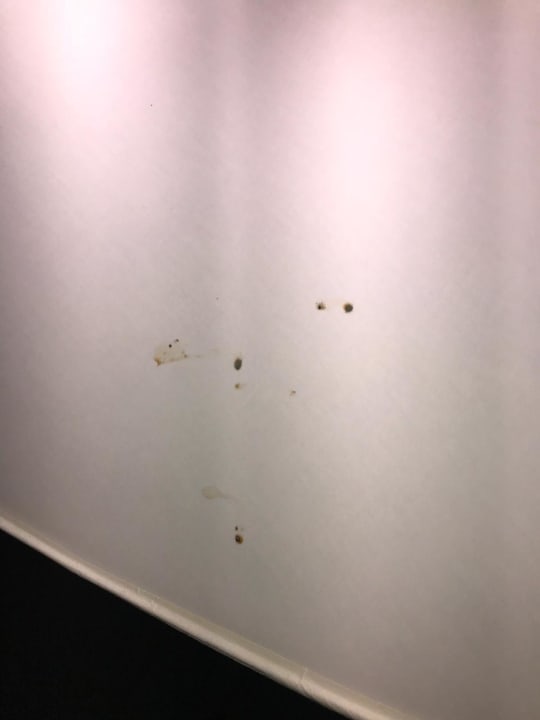 Zimmer New York's Hotel Pennsylvania