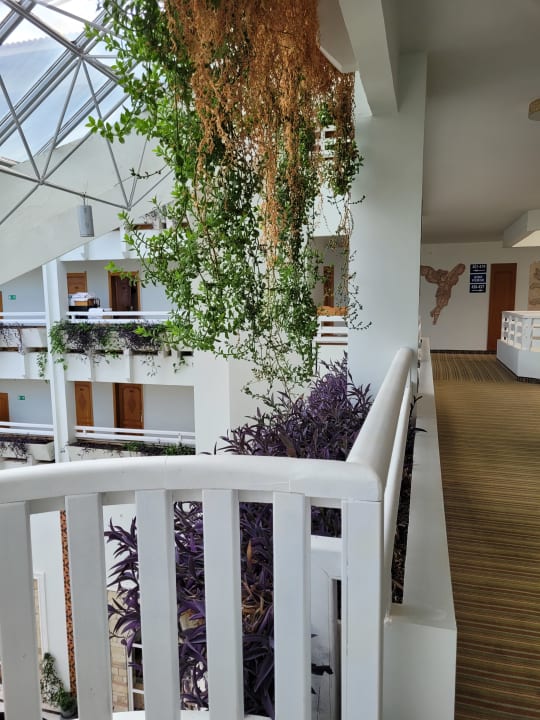 Zimmer Hotel Defne Garden