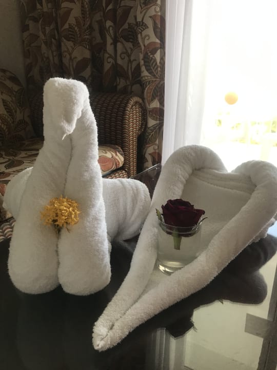 Zimmer Hotel Riu Ocho Rios