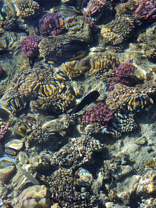 Sport & Freizeit Jaz Dar EL Madina