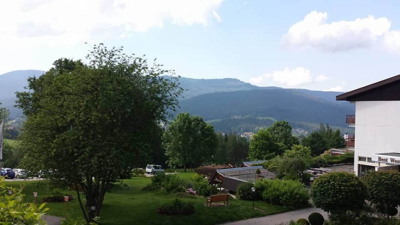 Ausblick ohne Hecke! Hotel Sonnenhof